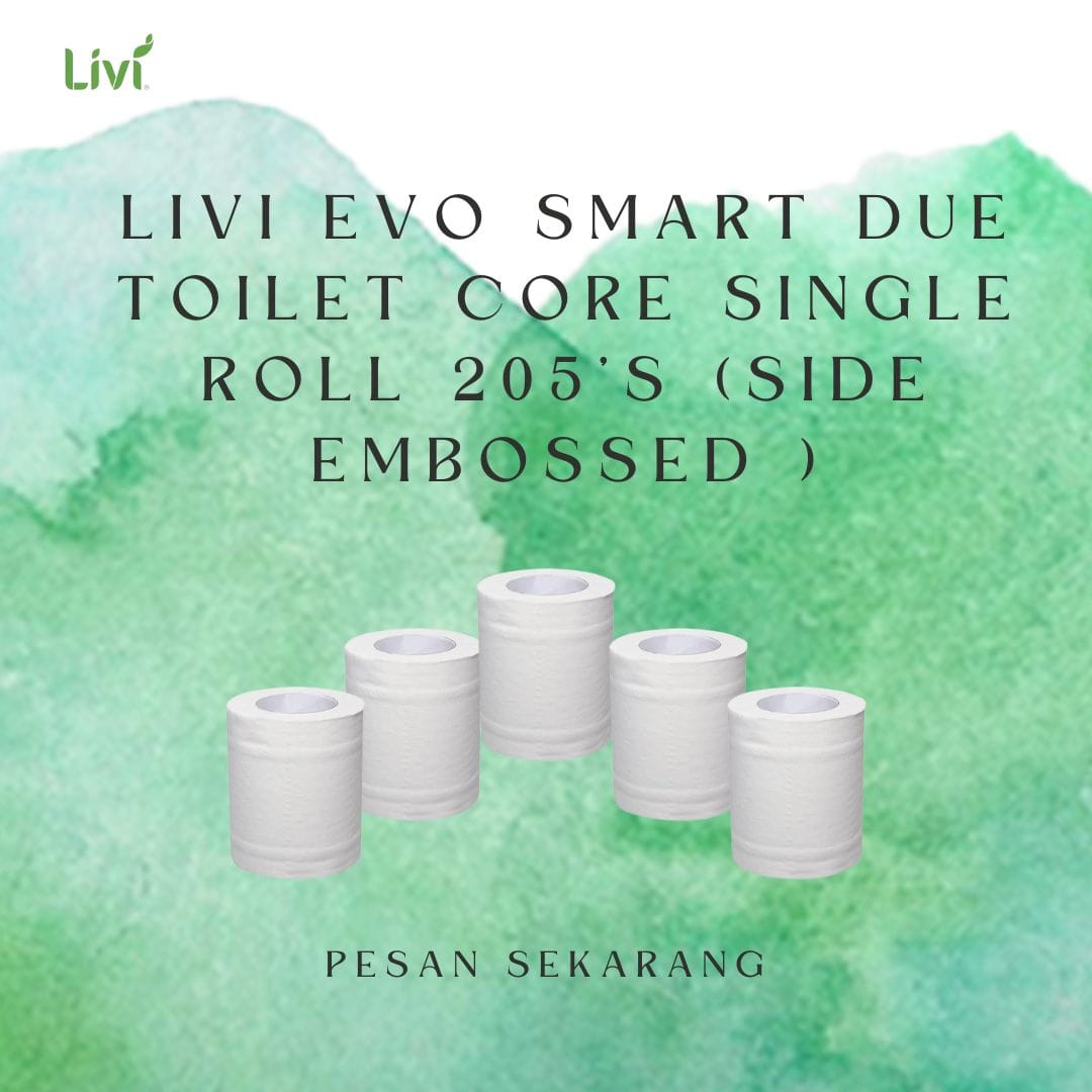 livi evo smartdue 205s